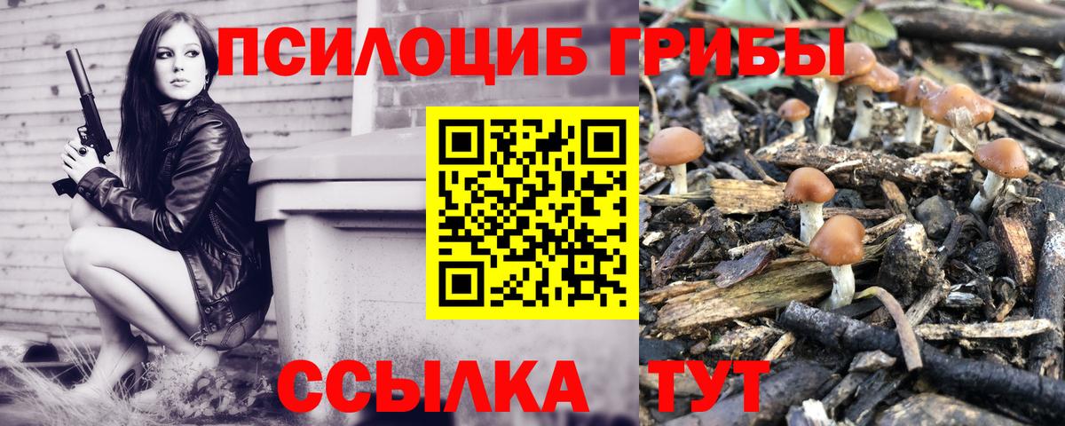 Красноармейск  Галлюциногенные грибы Psilocybe  Вход с VPN  Псилоцибиновые грибы прущие грибы 